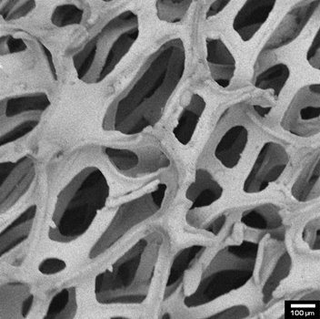 250V-Ni-foam.jpg