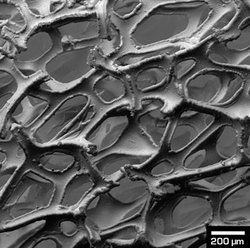 Ni-foam-topography.jpg