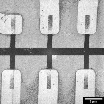 Graphene_on_Au_contacts_on_a_SiN_substrate_500eV_sbar_5um_E-T.jpg