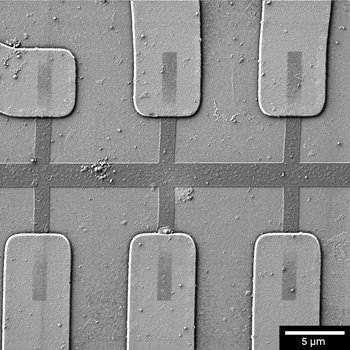 Graphene_on_Au_contacts_on_a_SiN_substrate_500eV_sbar_5um_Multidetector_LowLoss.jpg