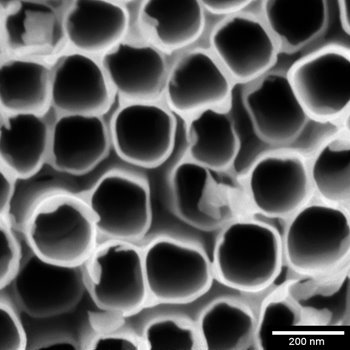 TiO2_nanotubes_500ev_BD_sbar200nm_Axial_detector.jpg