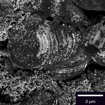 A-diffusion-of-Li-from-Li-ion-battery-electrode-imaged-at-500eV-A-diffusion-of-Li-from-Li-ion-battery-electrode-imaged-at-500eV.png